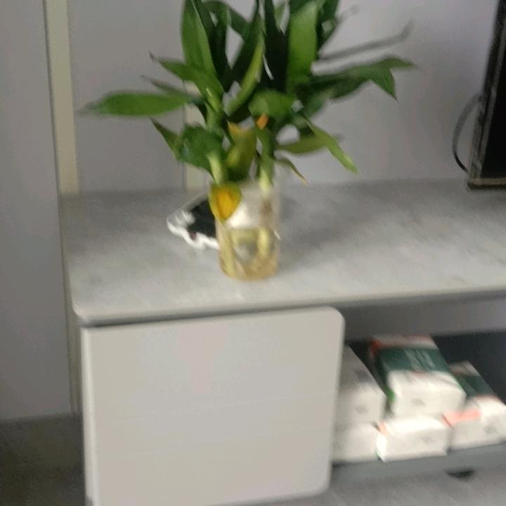 东方月初