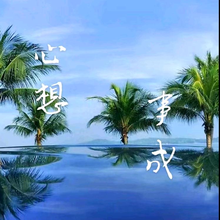 心想事成