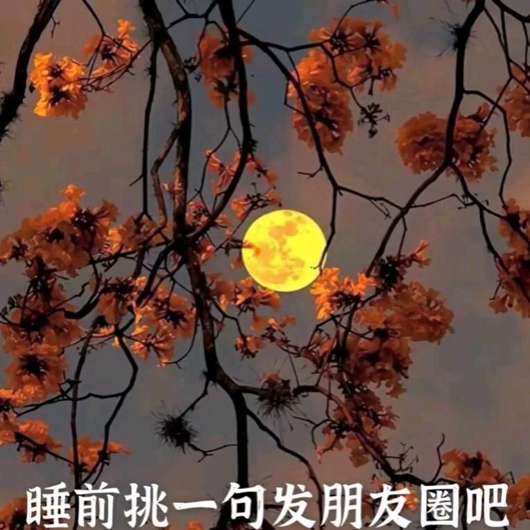 燕子