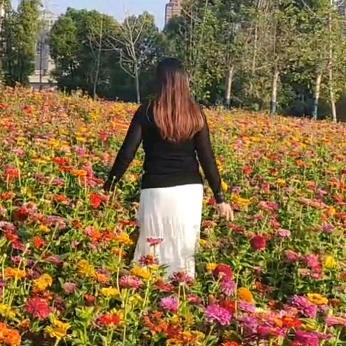 开心（63兔🐇）