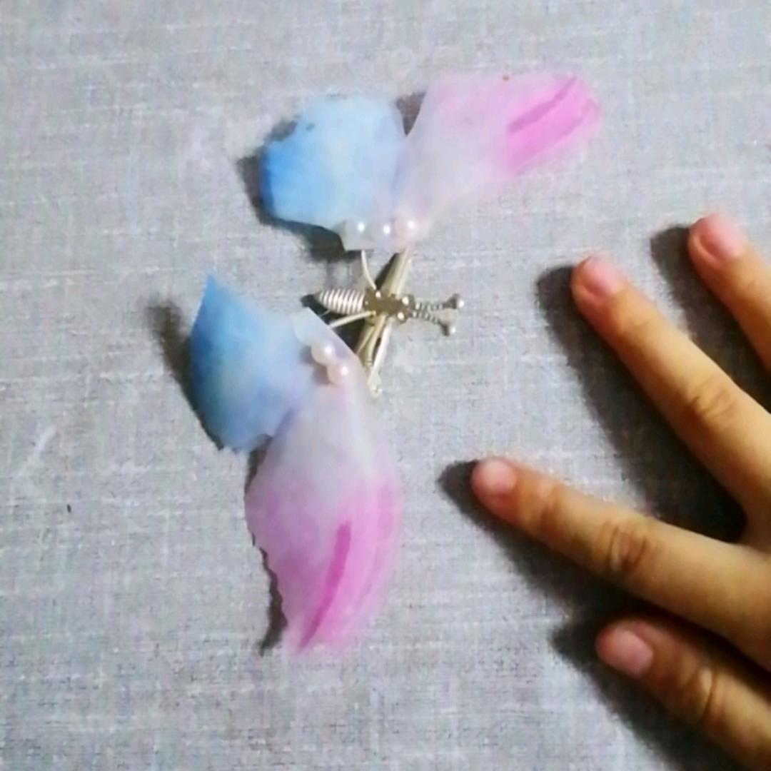 蝴蝶🦋蝴蝶