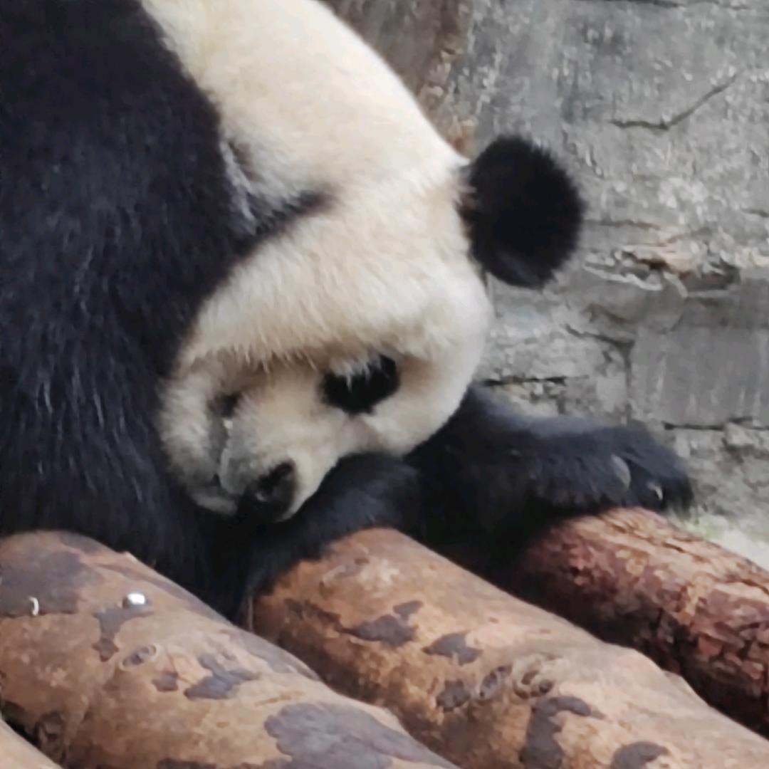 个小时左右吧🦈