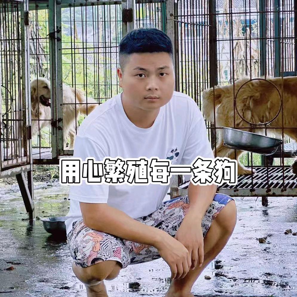 云帆犬舍