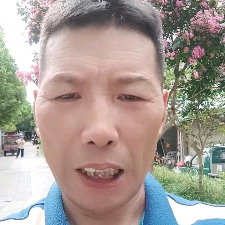 梦想成真