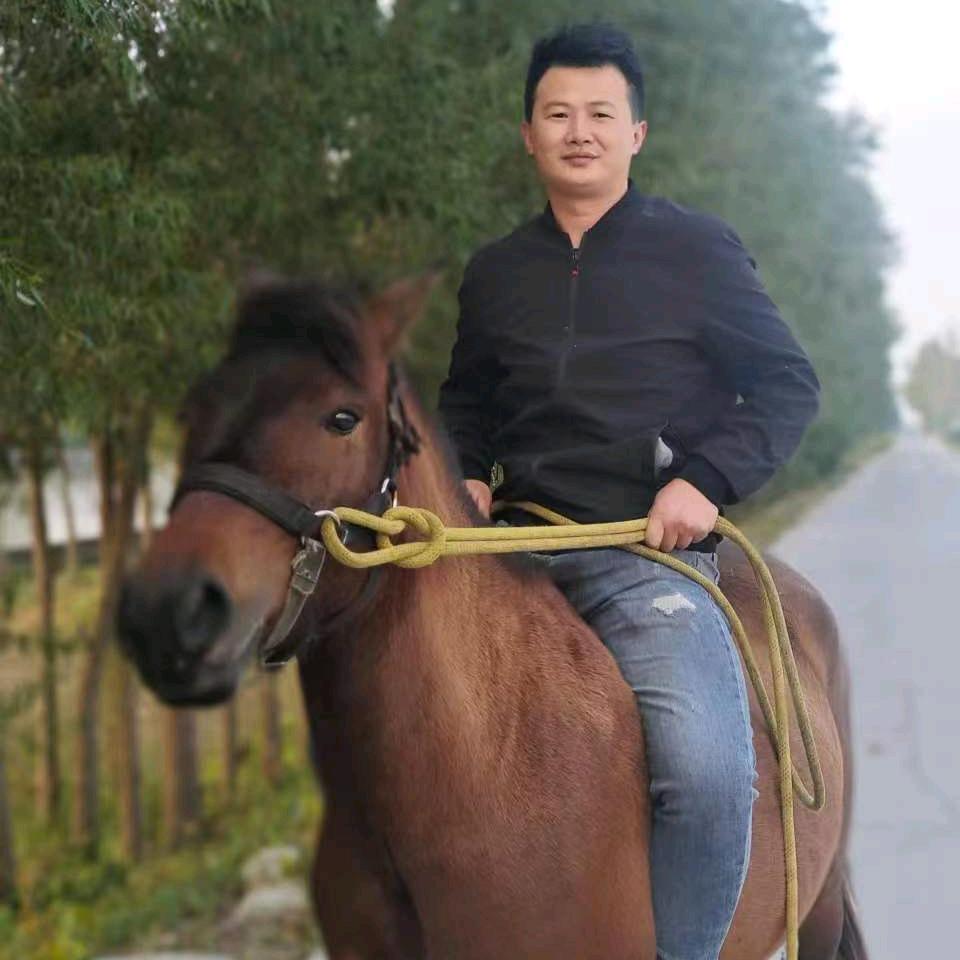 青铜马术俱乐部