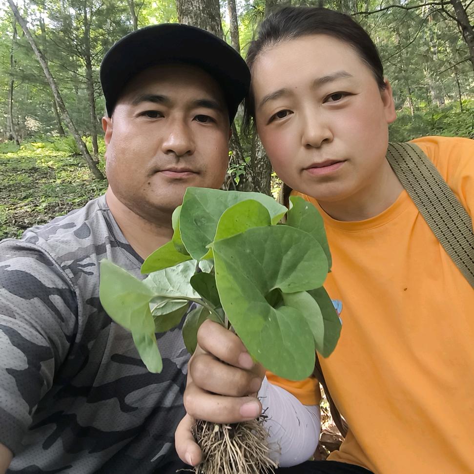 山里人小华