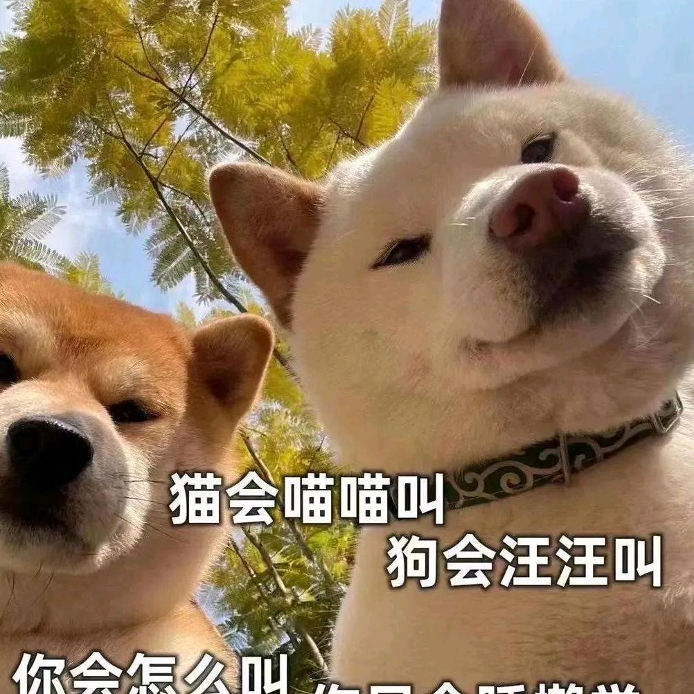 zd