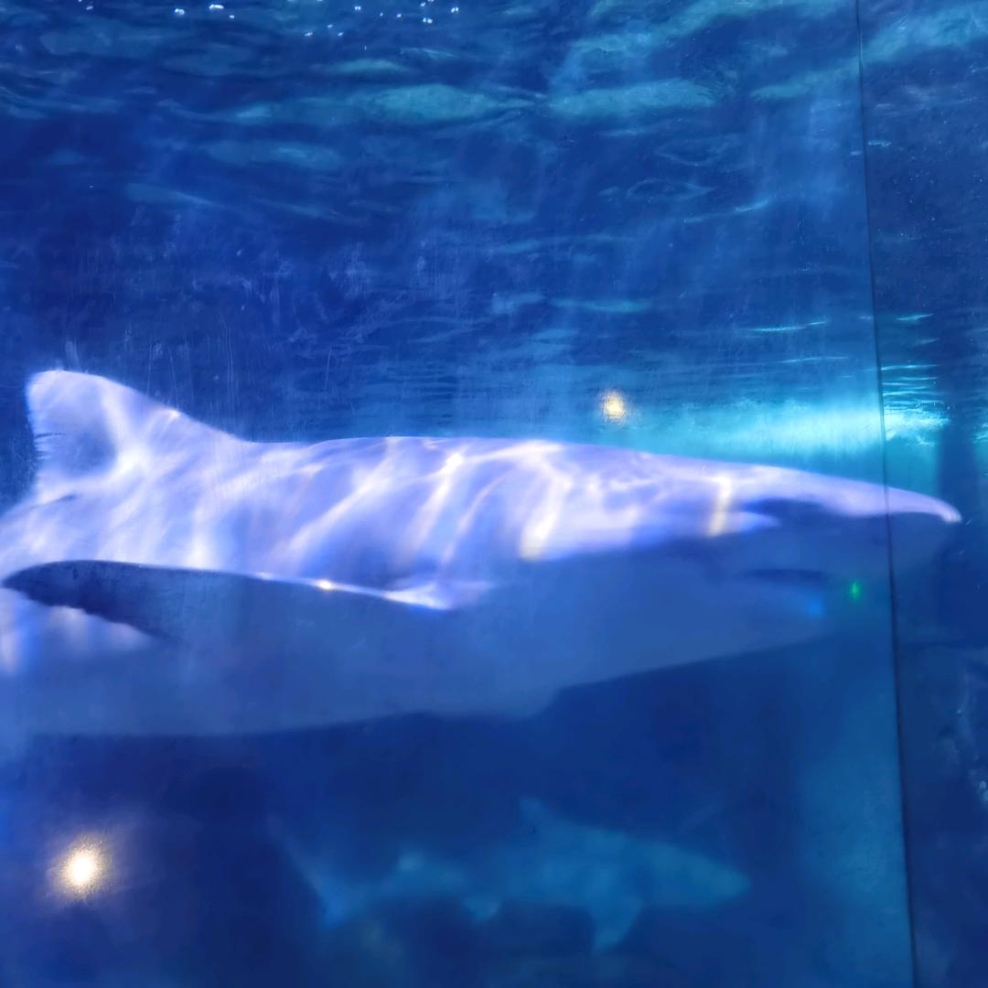 @龙🐉🐉🐉🐉