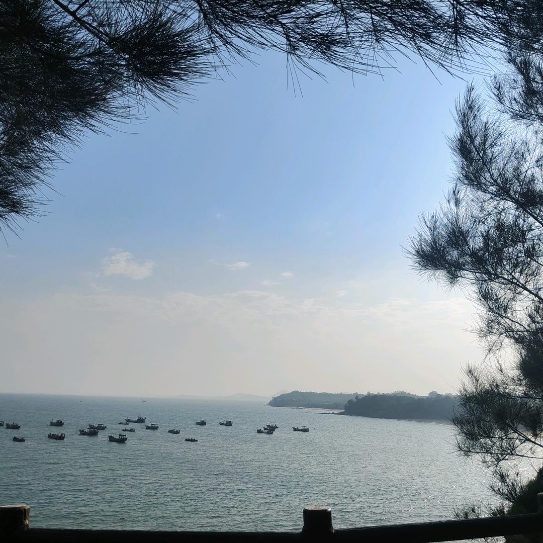 是浪浪哈