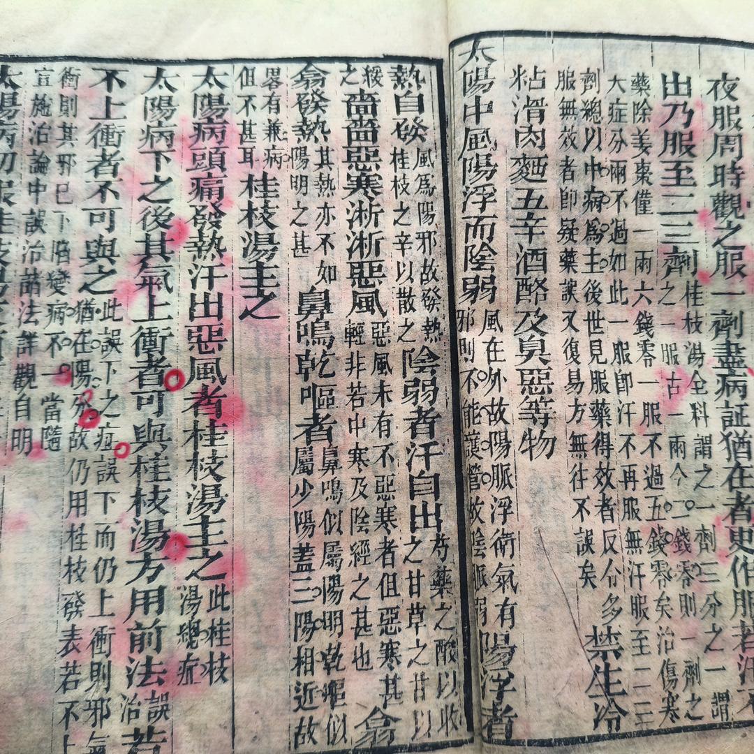 厚朴当归