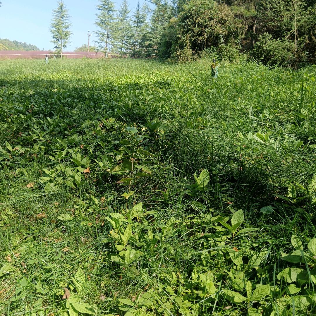 @🙋‍♀️🙋‍♀️🤷‍♀️李🏄‍