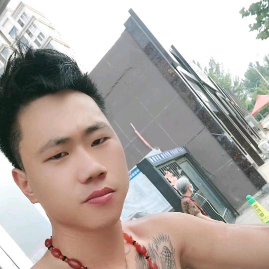 @陈鹏举《豫N在浙B》