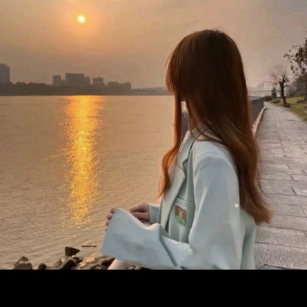 向日葵🌻🌻🌻