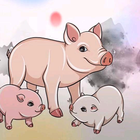 青峰老师聊生肖