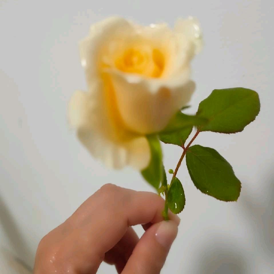 妹子