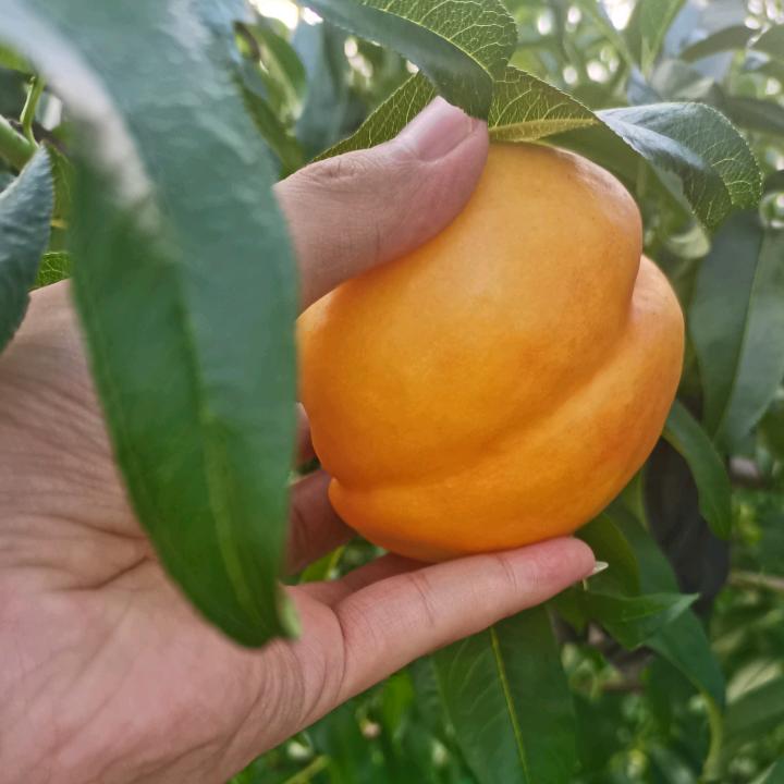 林晟生鲜企业店
