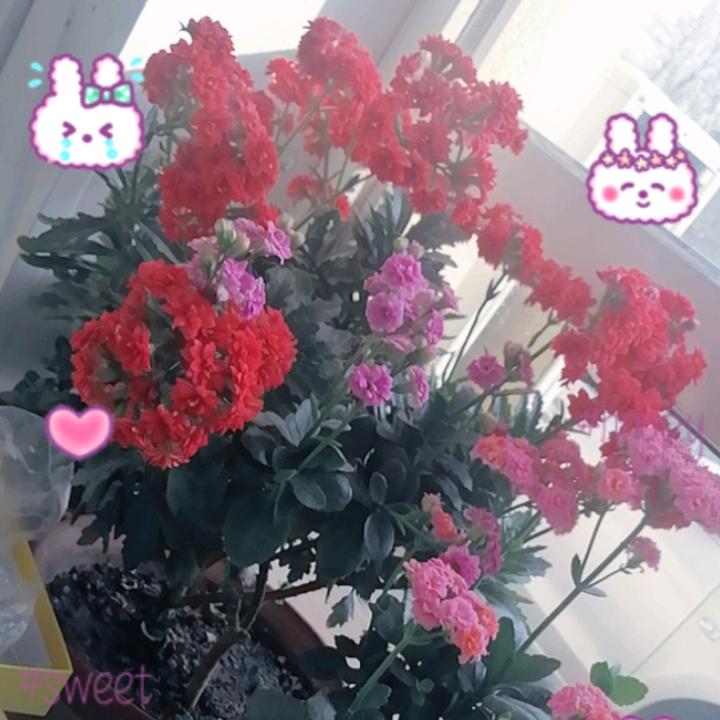 新的开始
