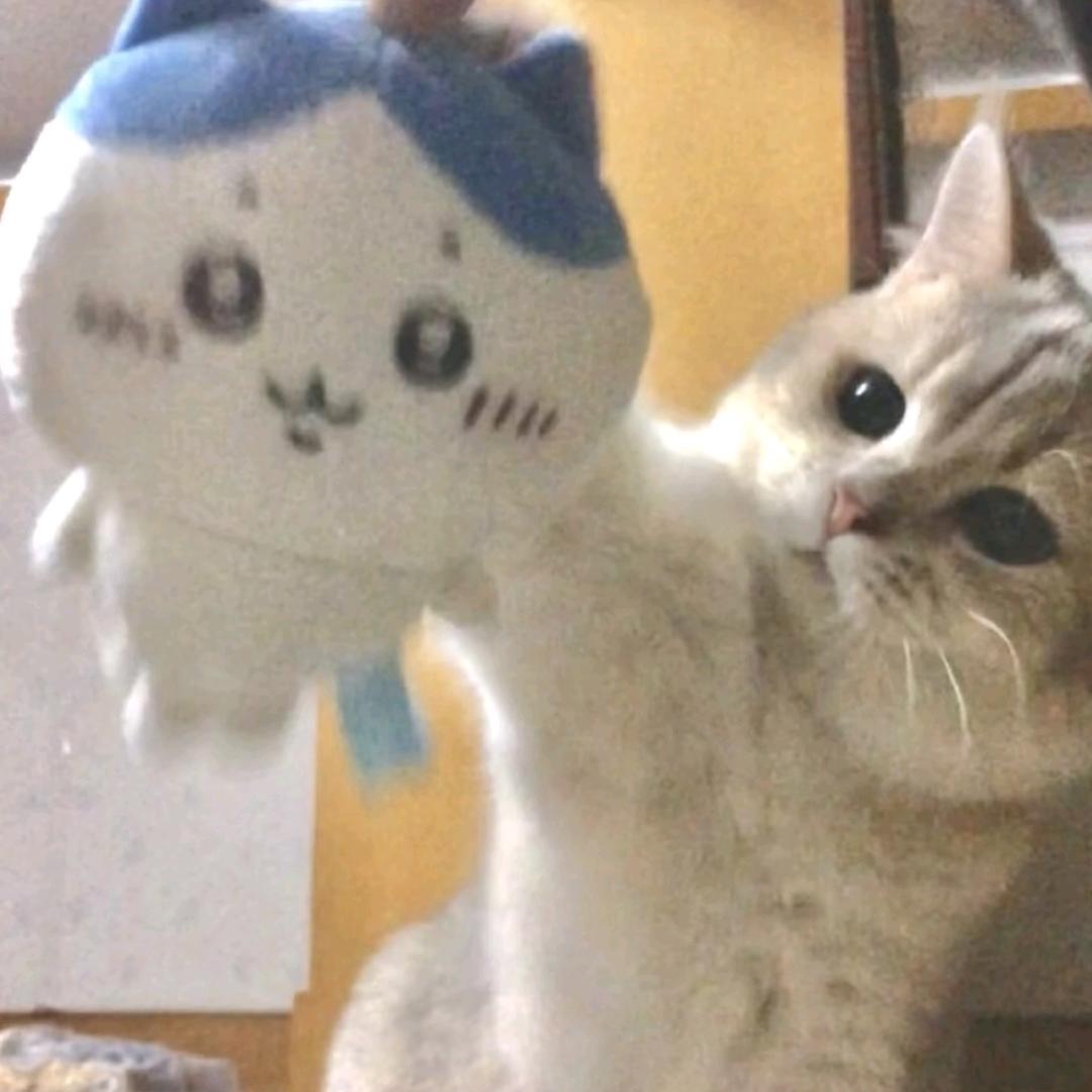 霜降