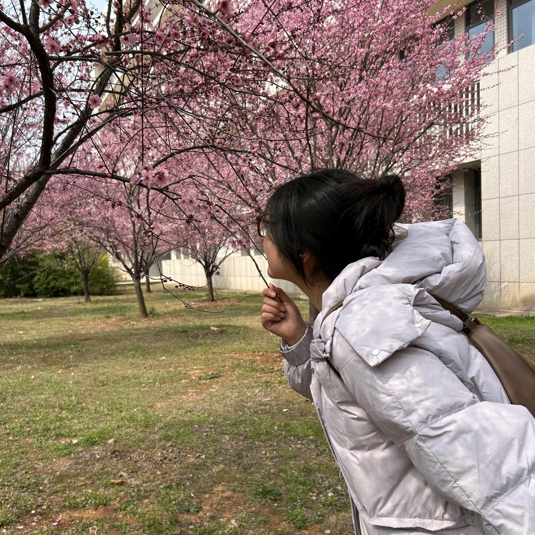 爱吃香菜