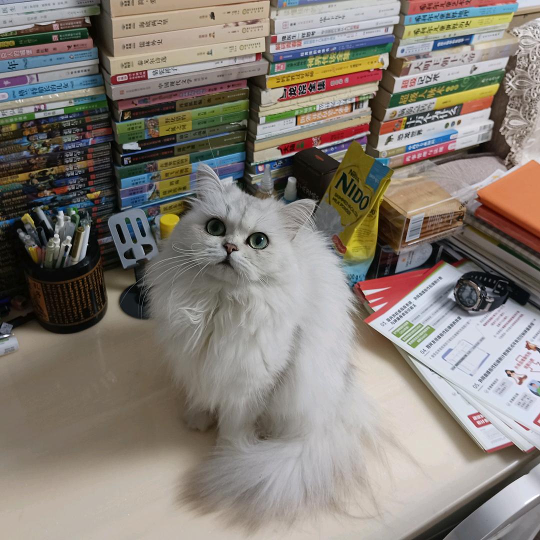 鲸落亡  向阳生