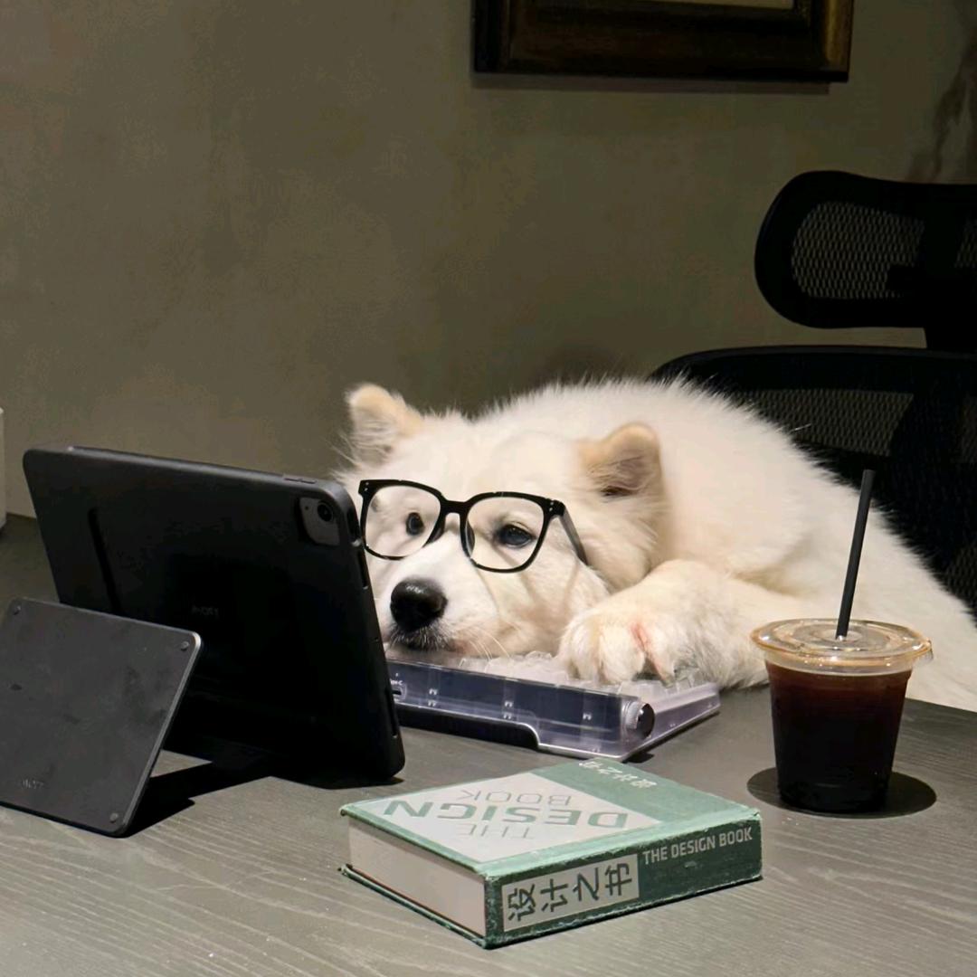 是我的小饼干🍪