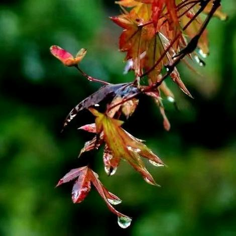 往后余生，开开心心