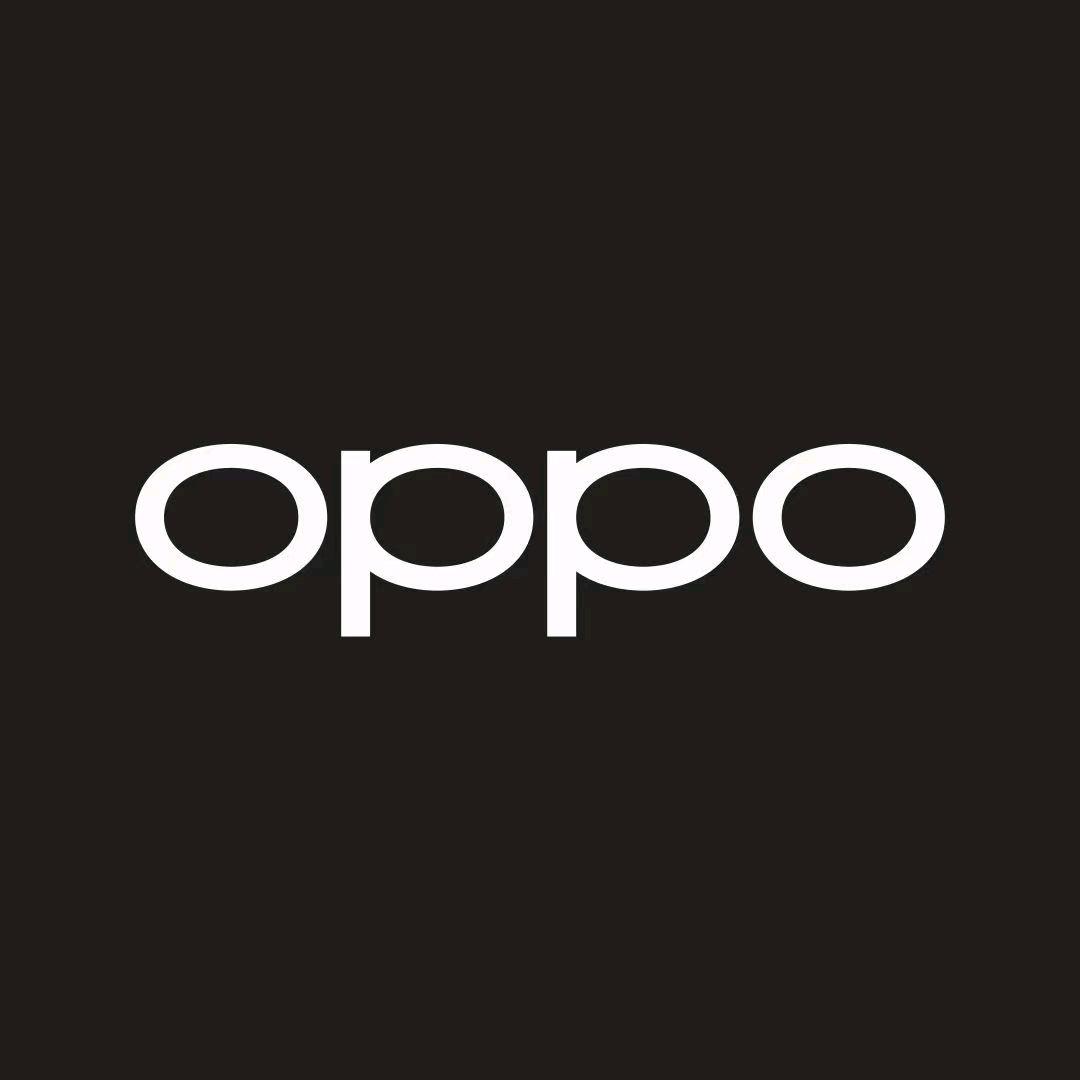 oppo体验店（会东满银路东段）