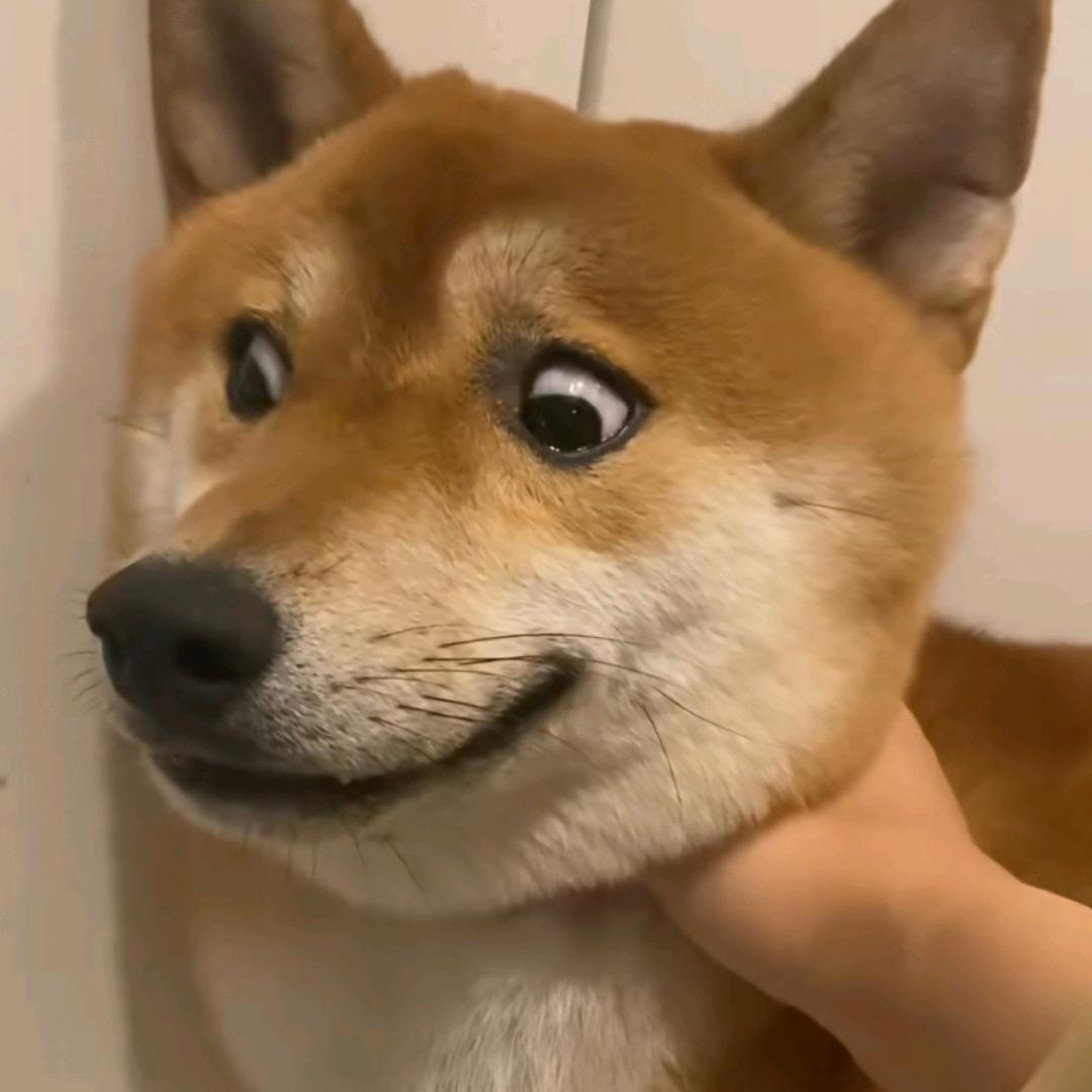 记得填写名字哦