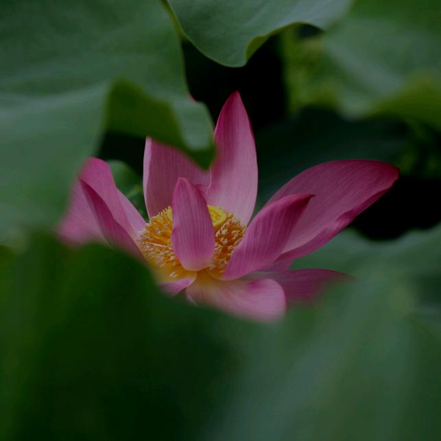 悠✨悠
