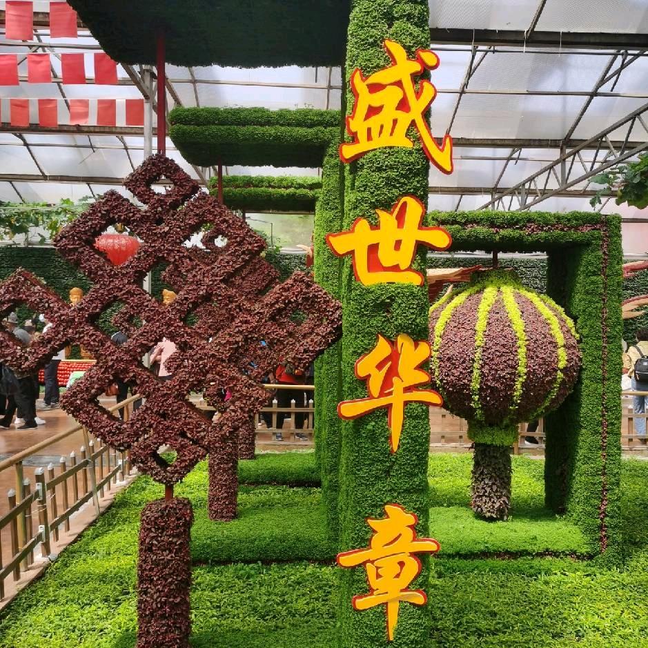 种大棚的小李