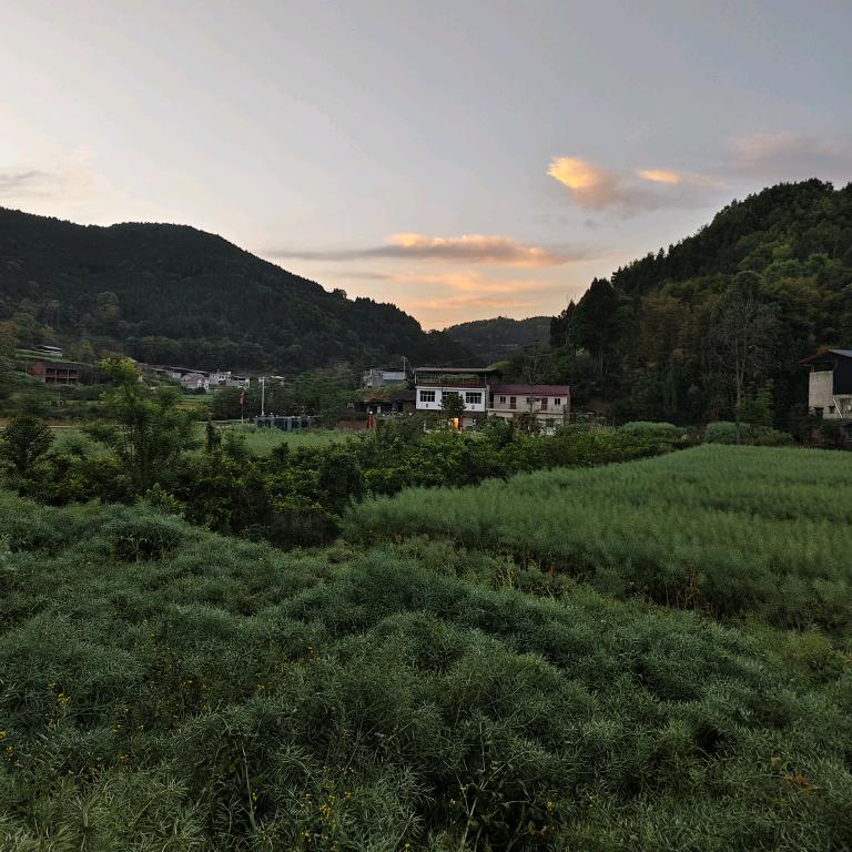 平安是福