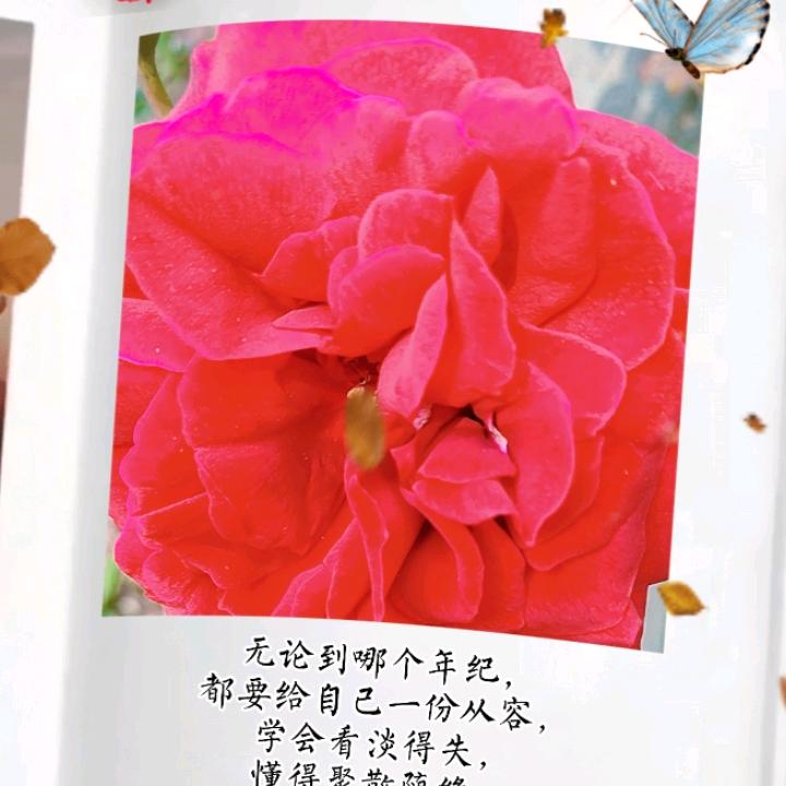 水秀起舞