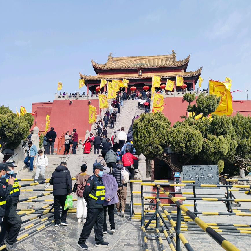 灵鸟解忧