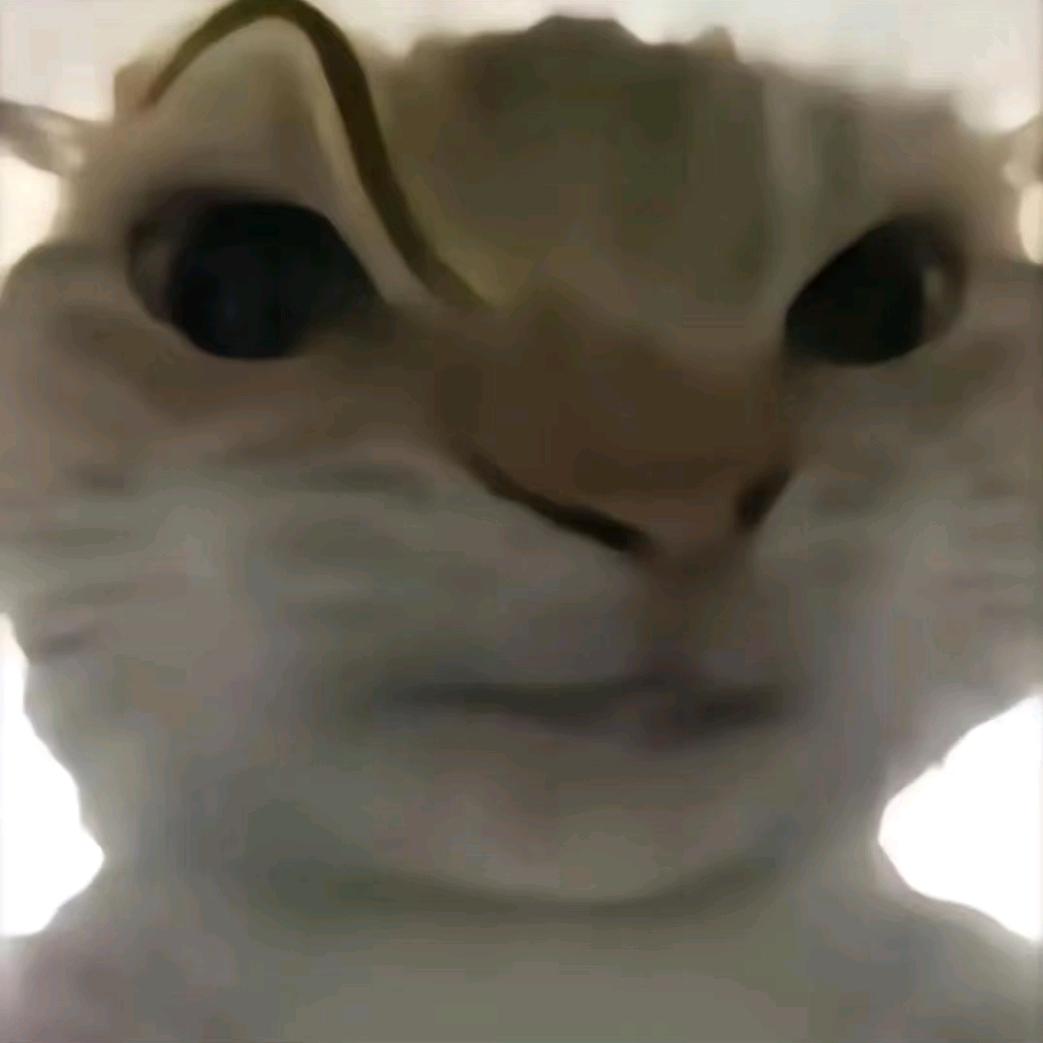 柯白（三角洲跑刀）