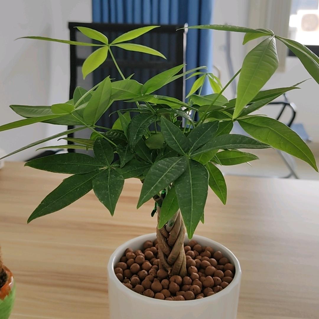 武汉市东湖新技术开发区悦庆百货商行（个体工商户）