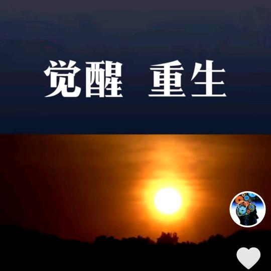 长平子