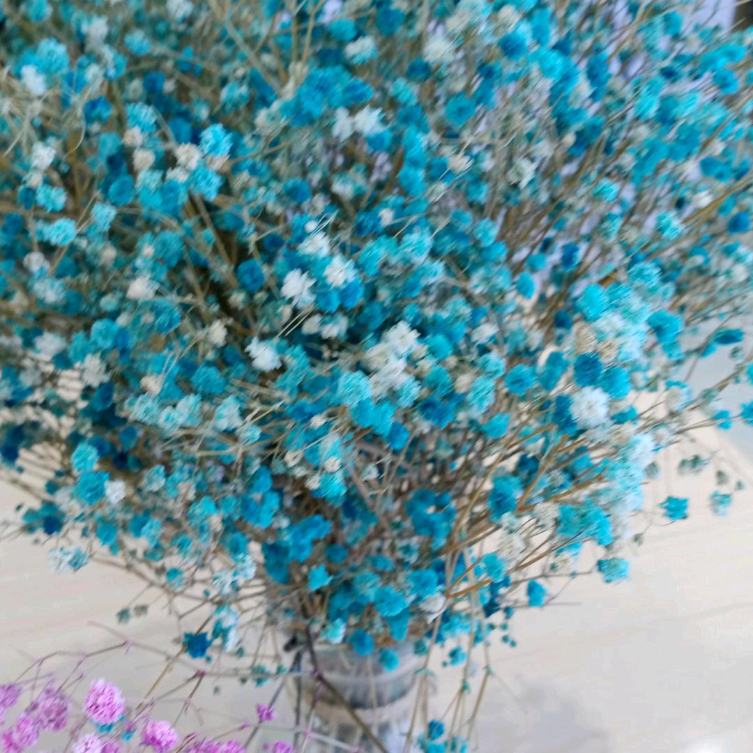 用户5538091158509