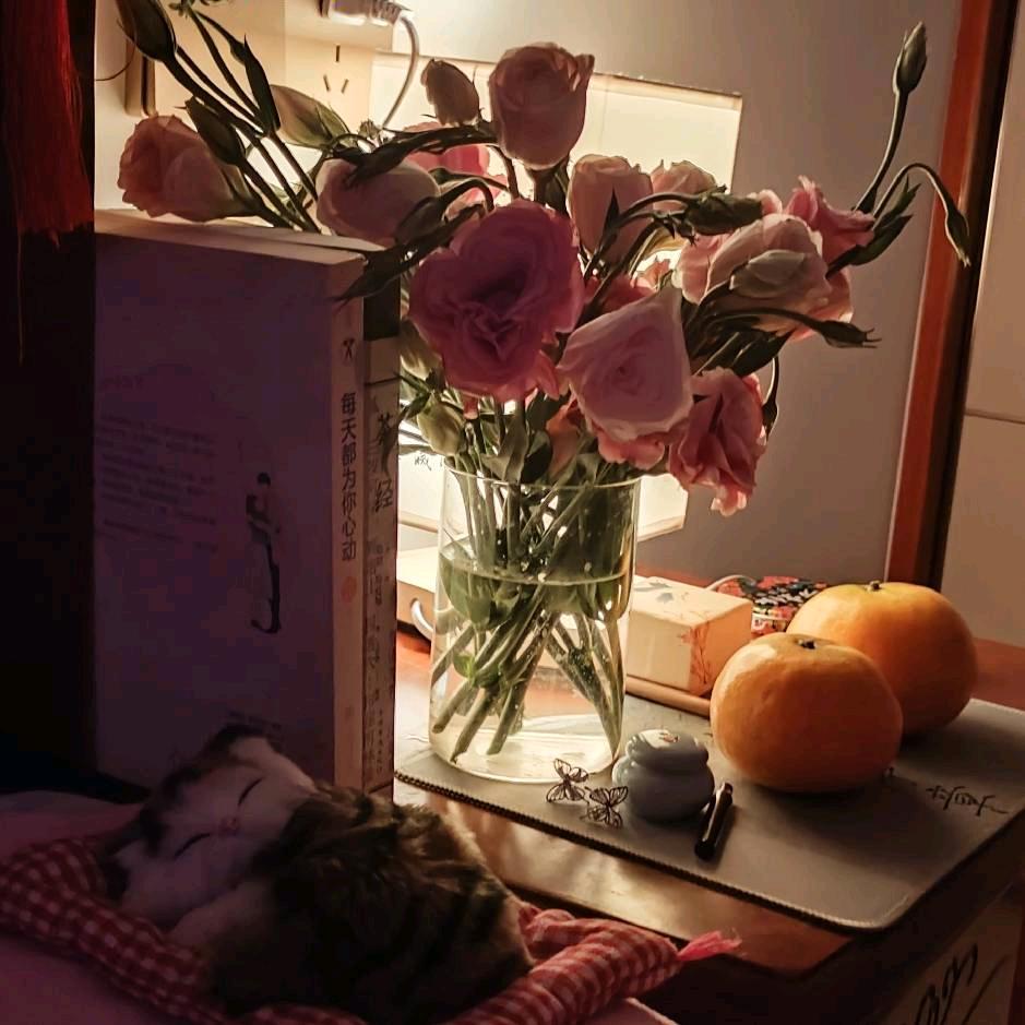 下个富婆就是我👑