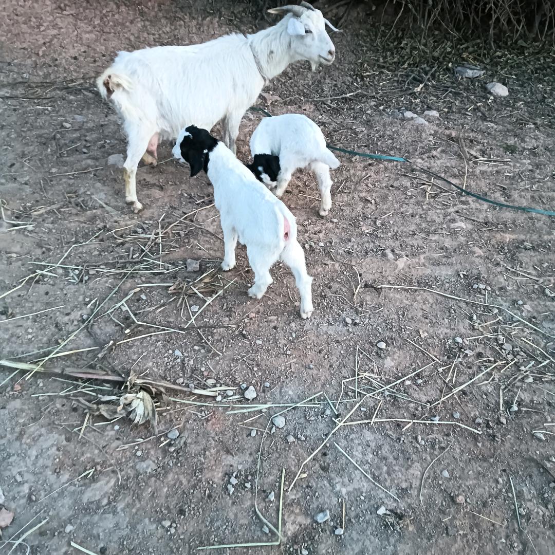 66245118222好好生活