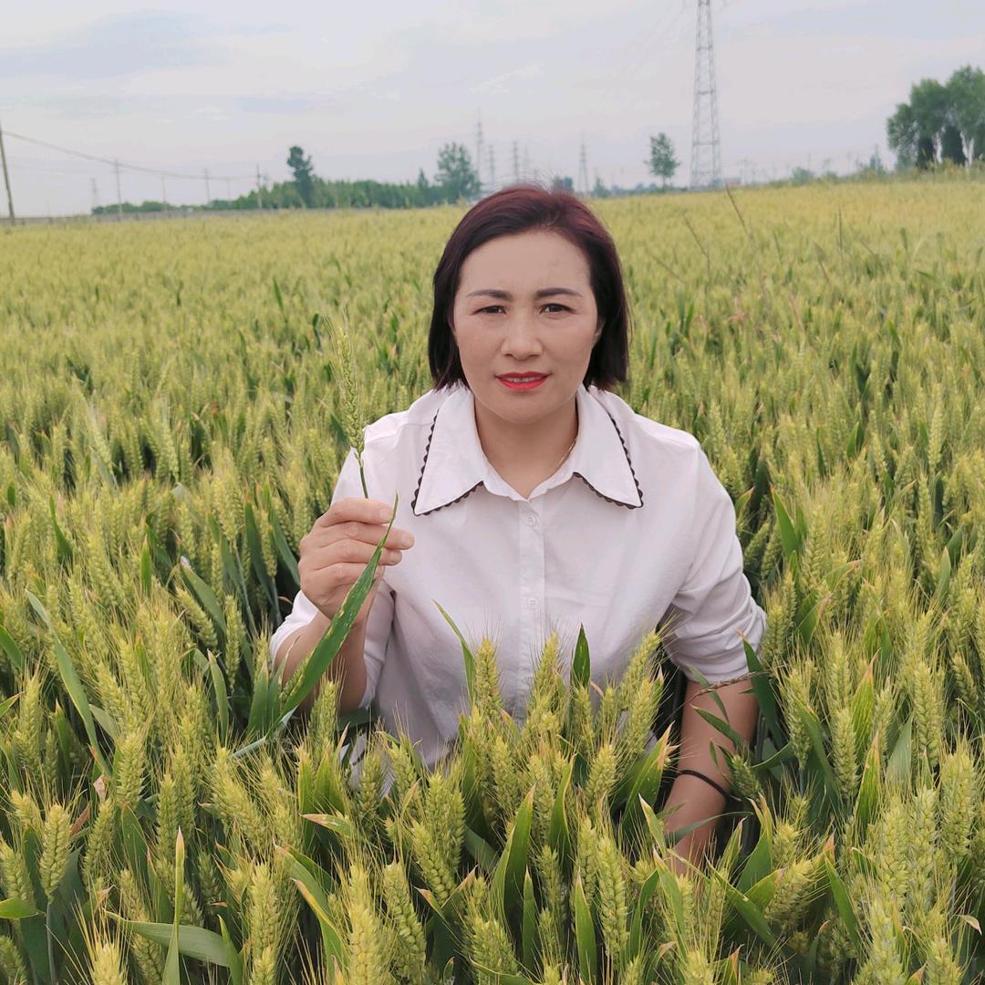 黄湾街刘佩农资店云姐2216176941