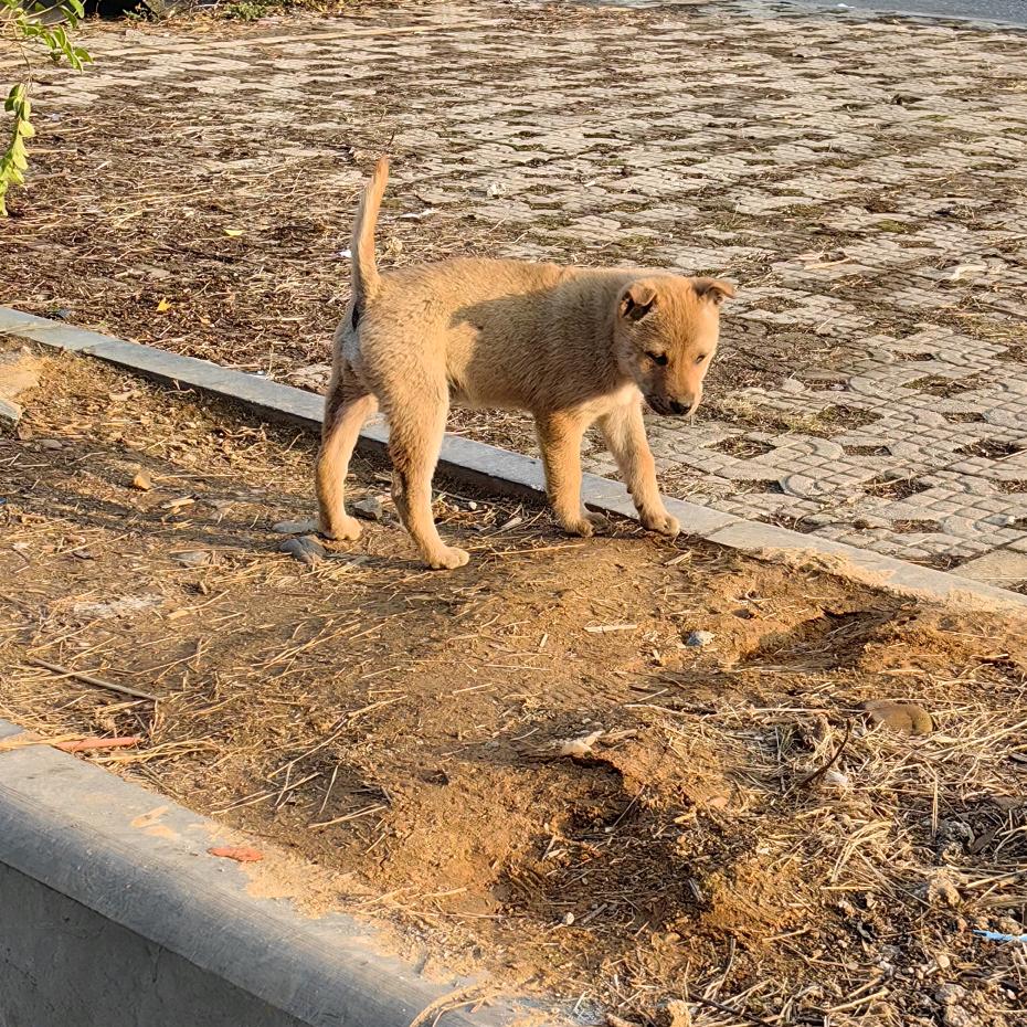 在努力的路上狂奔