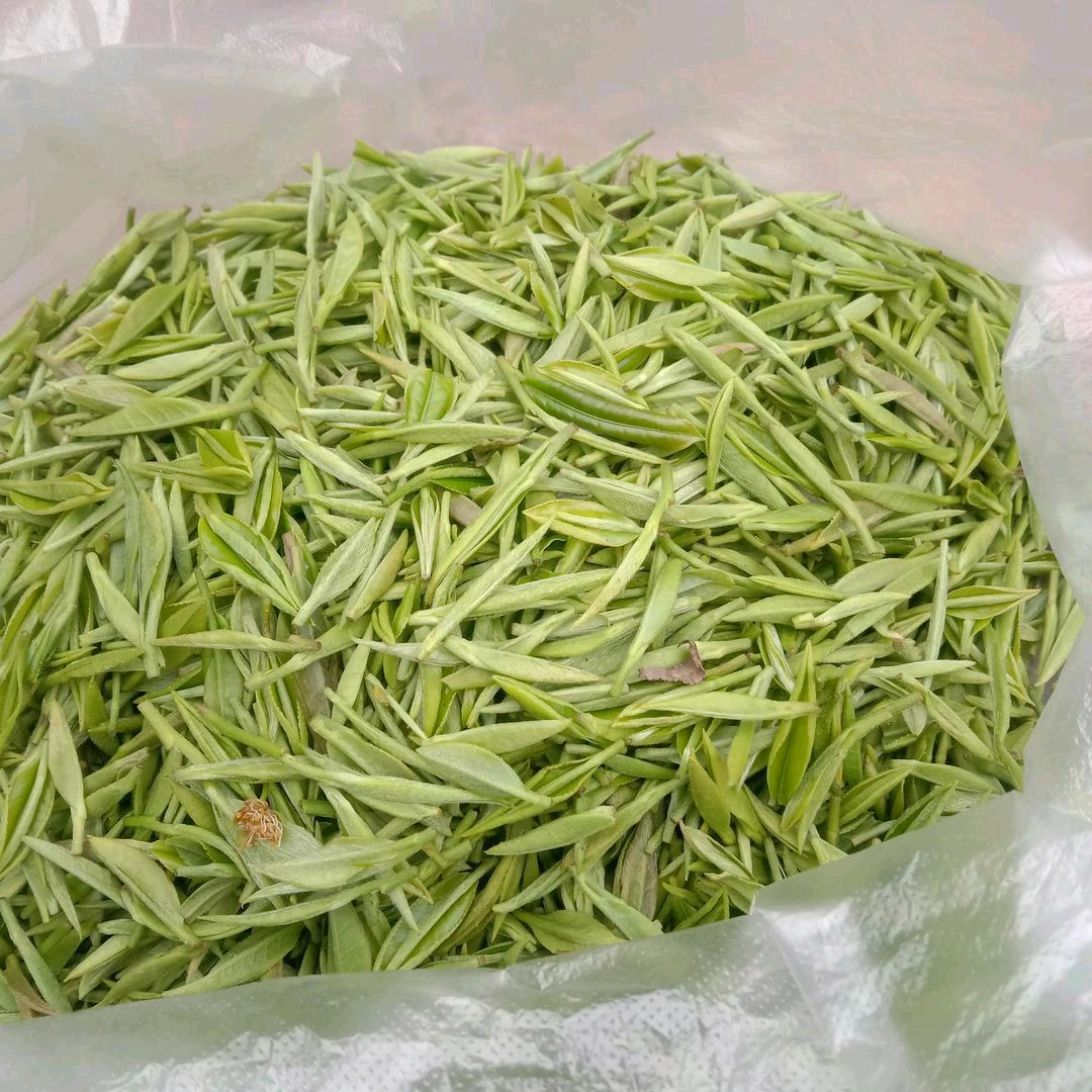 大山里的一棵树