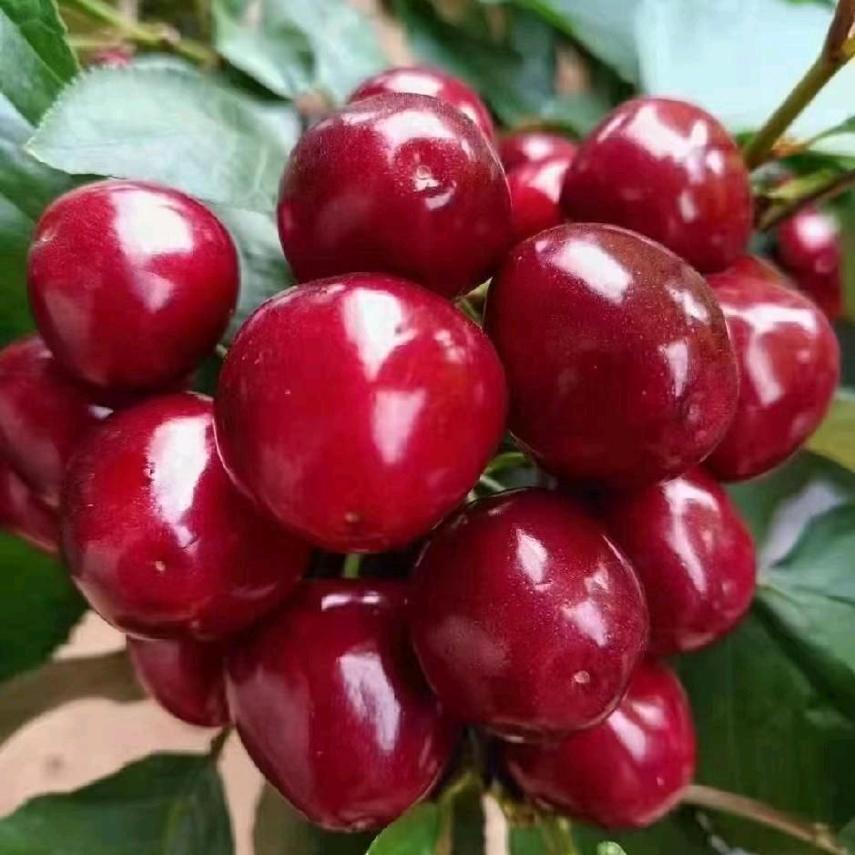 茜钰璠华商贸