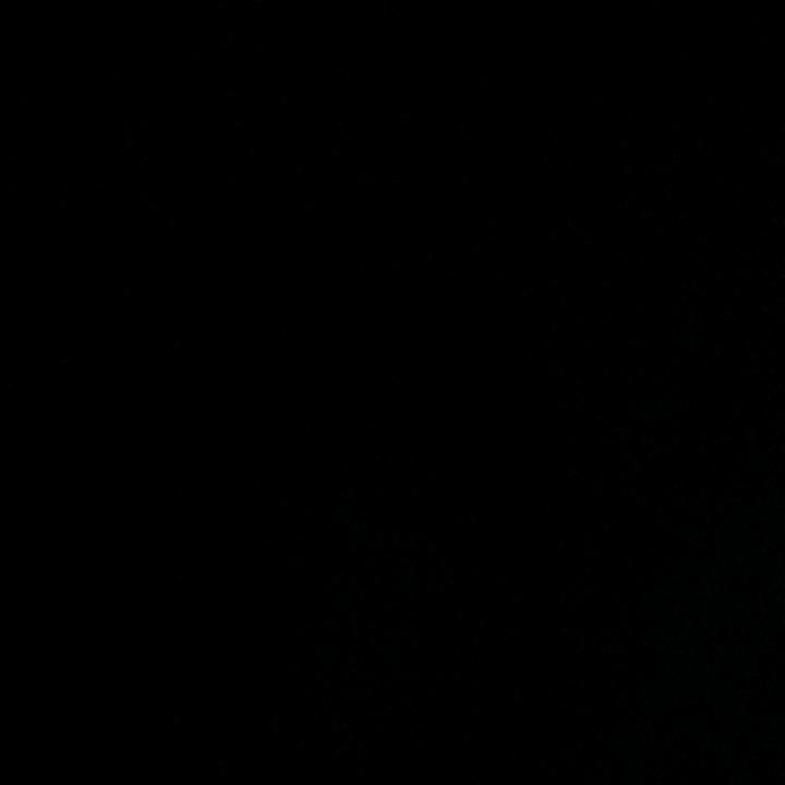 仝氏族河南南阳镇平县石佛寺镇