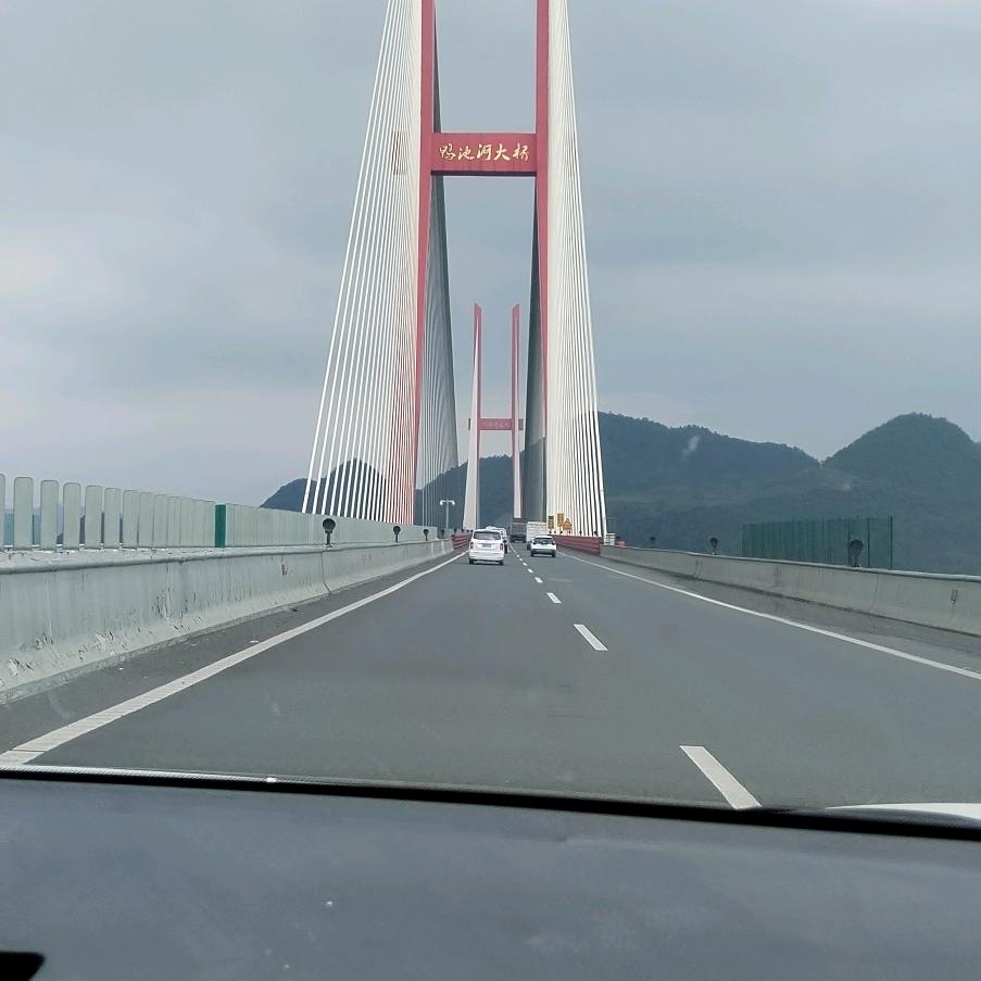 韦哥