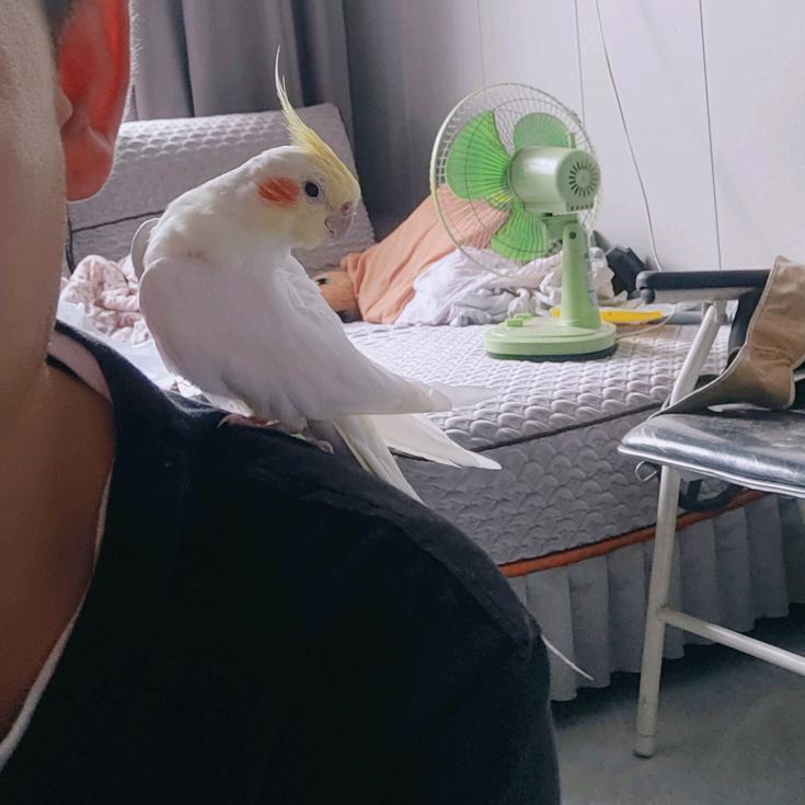 农夫仨拳有点疼