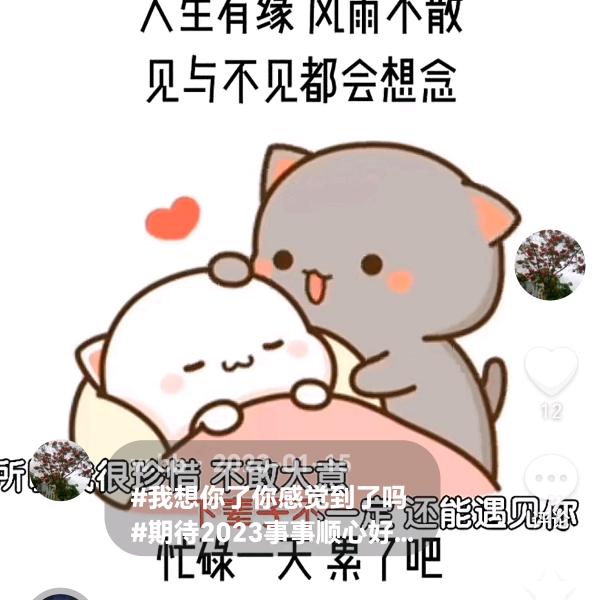 与你偕老