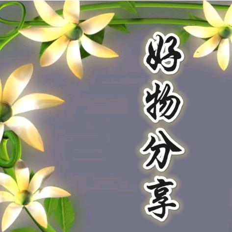 翠竹好物店