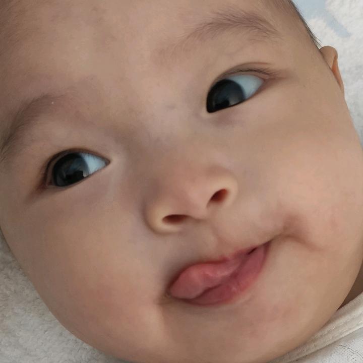 皮皮鱼