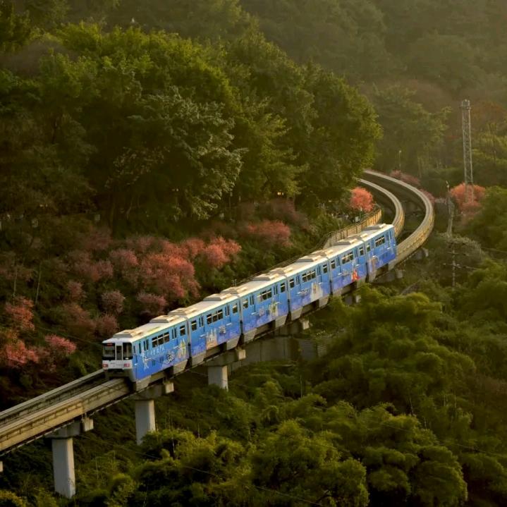 保驾护航